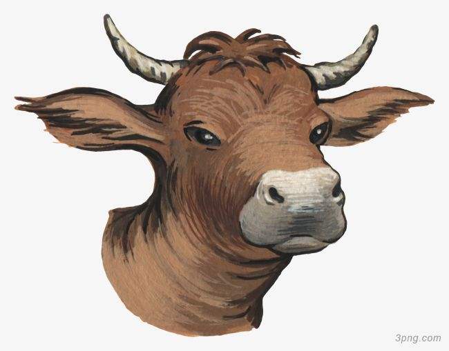 吉林市舒蘭市天德鄉(xiāng)反芻技術(shù)交流會(huì)圓滿成功！